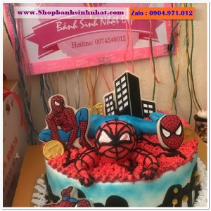 Bánh Sinh Nhật Siêu Nhân - US195